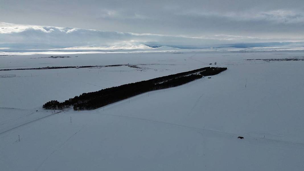 Karlar kraliçesinin saklı bahçesi gibi! Bozkırda yükselen yeşil cennet 2